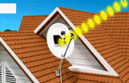 base station antenna