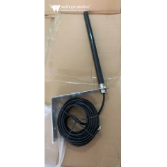 3G 4G radiologgerin antenni
