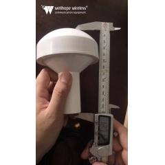 GPS glonass BDS antenni wh-gps&glon-nf
