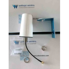 GPS ulkona omni antenni
