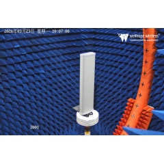 LoRaWAN 5G -moniantenni